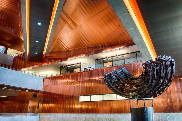 Austin TX City Hall Interior Architecture Photography