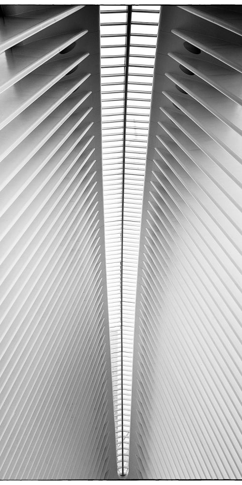 Oculus Structure World Trade Center Abstract Photography