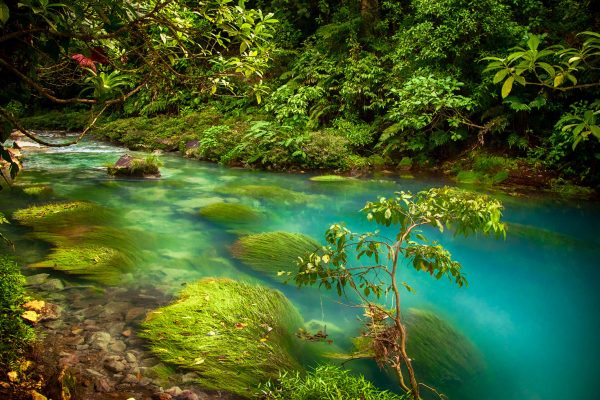 Rio Celeste Costa Rica Landscape Photography