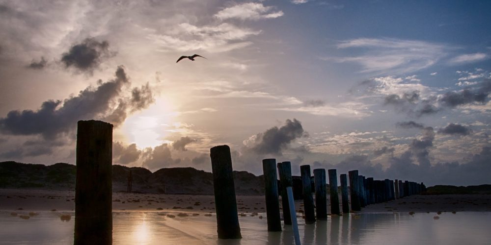 Padre Island National Seashore Beach Sunset